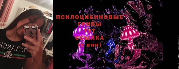 шишки Семикаракорск