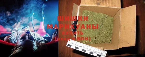 дживик Семилуки