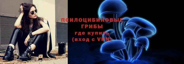 ешки Снежинск