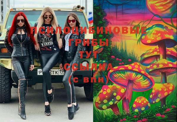 дживик Семилуки