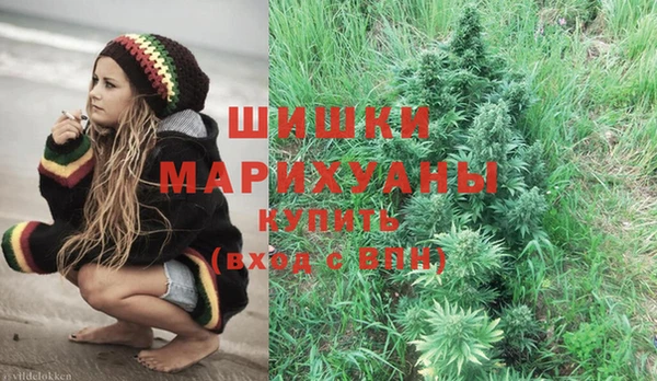 дживик Семилуки