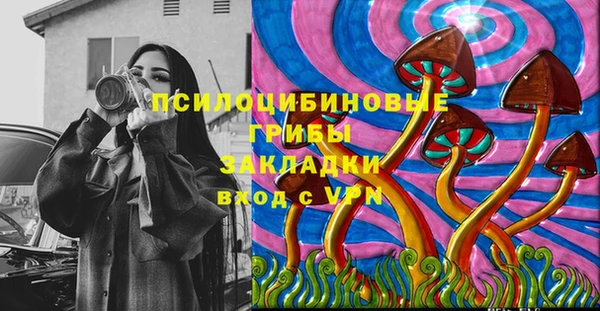 ешки Снежинск